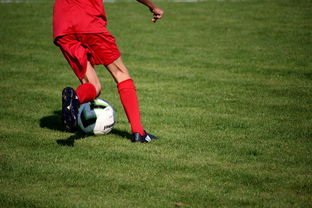 AC米兰队-中国篮球职业俱乐部青训体系构建与实践，青年篮球训练机构