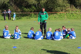 米兰体育APP-中国篮球联赛观众行为特征及营销策略，篮球比赛观众席视角