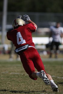 米兰全站APP正式版下载-英超球队基于位置热力图优化压迫式防守区域控制，英超球队地图分布