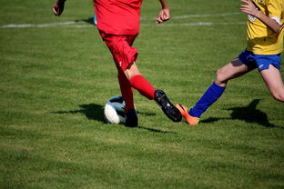 ac米兰足球队-“拳王争霸：四川省体育馆拳击赛将诞生新的世界拳王”